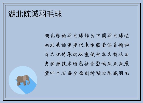 湖北陈诚羽毛球