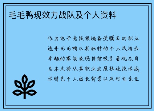 毛毛鸭现效力战队及个人资料